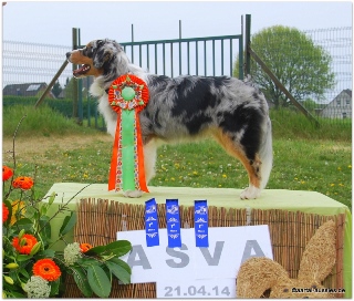 Mojo Niederkruechten 04-2014